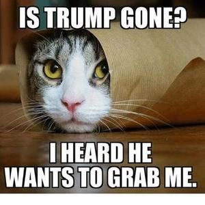 Meet your Posher, Suzanne